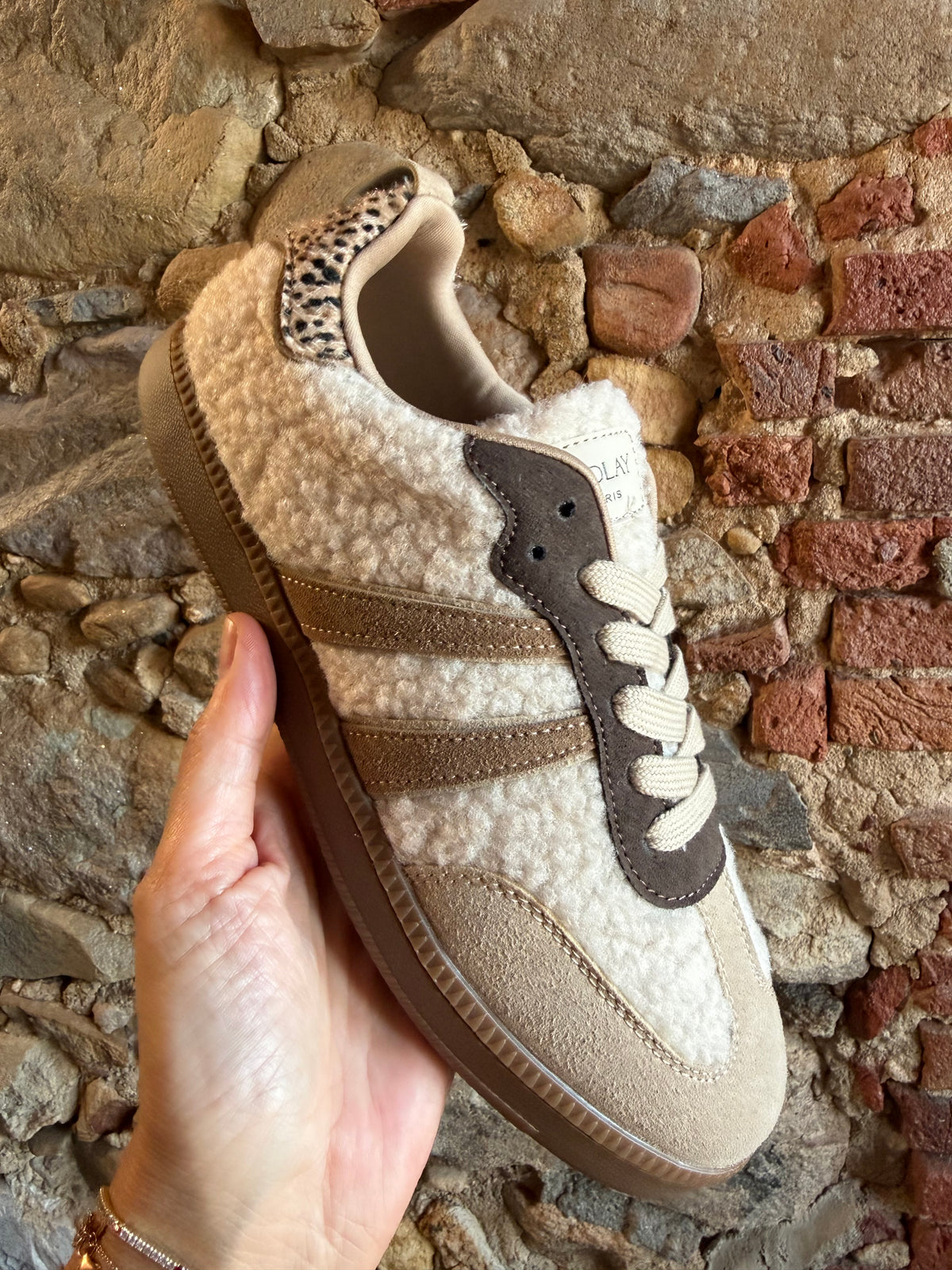 Trainer Teddy
