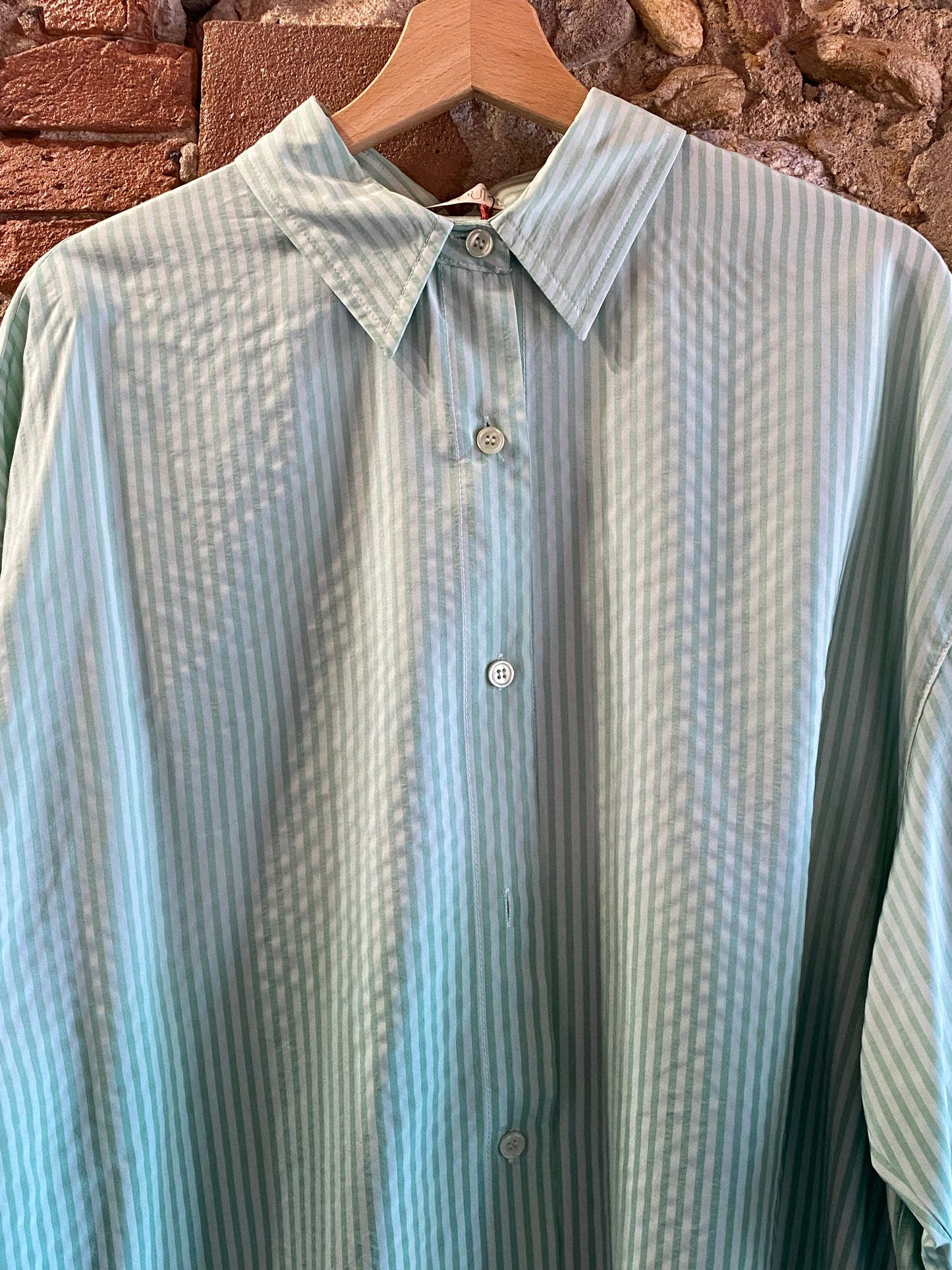 Camicia Apple viscosa riga verde