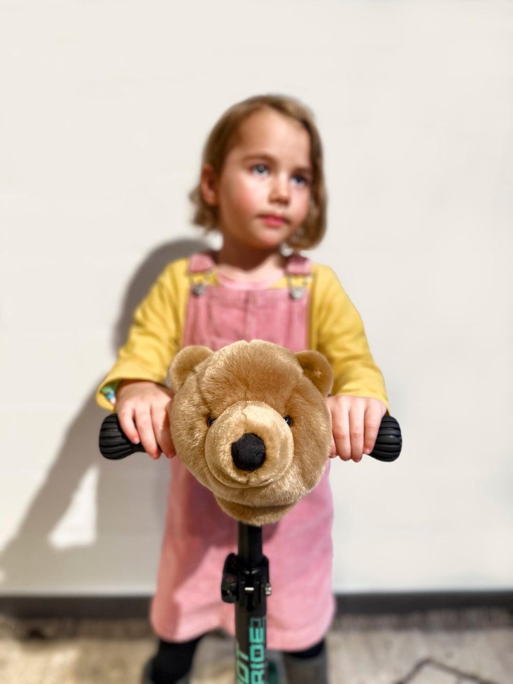 Testa da manubrio Orso